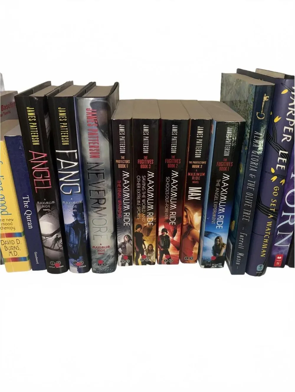 Maximum Ride Series!!